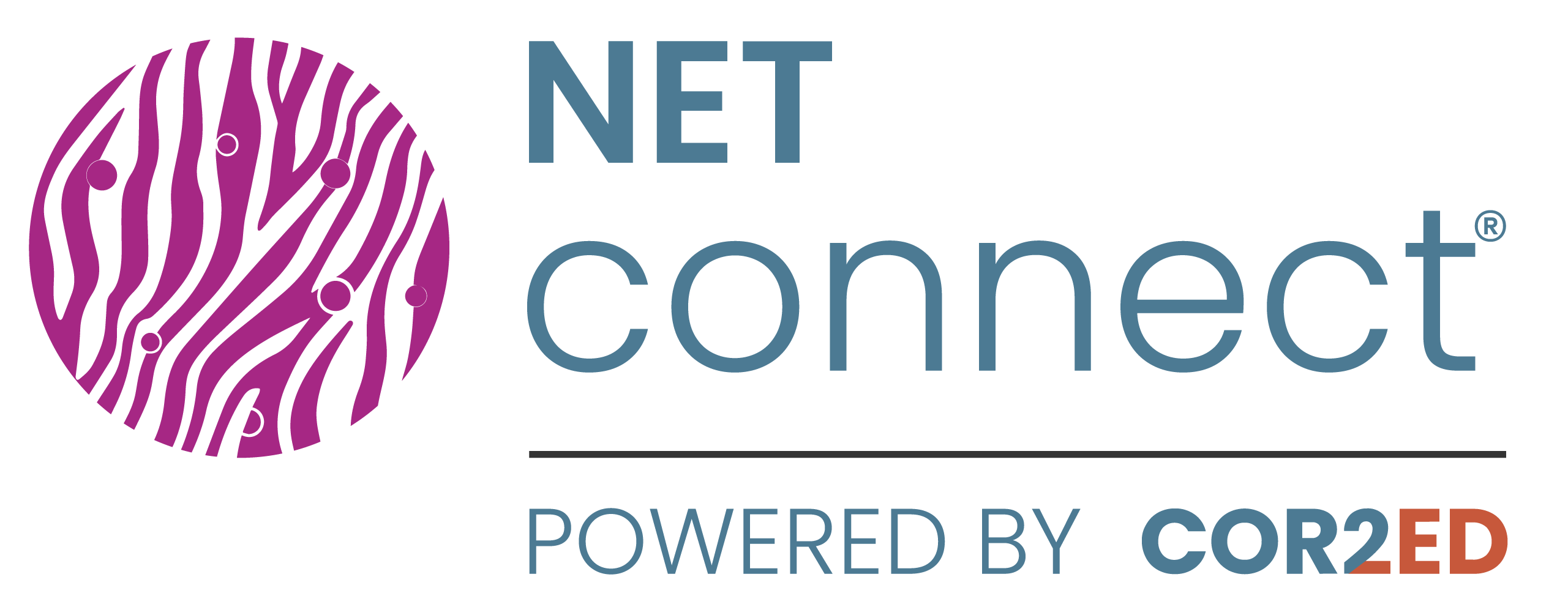 NET CONNECT
