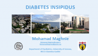 Diabetes Insipidus Mohamad Maghnie