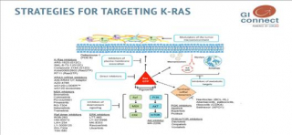 Review paper on K-Ras targeted therapy in GI cancer