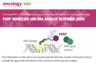 PARP inhibition and DNA Damage Response