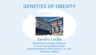 Genetics of Obesity Sandro Loche