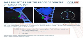Understand the mechanism of action of PARP inhibitors and targeting DNA Damage Response (DDR): A short video » COR2ED