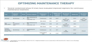 Review paper on intermittent vs continuous treatment in the maintenance treatment setting of metastatic colorectal cancer