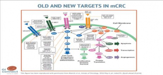 Review paper challenging chemoresistant metastatic colorectal cancer: therapeutic strategies from the clinic and from the laboratory