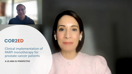 PARP inhibitors alone or in combination with novel hormonal agents in prostate cancer