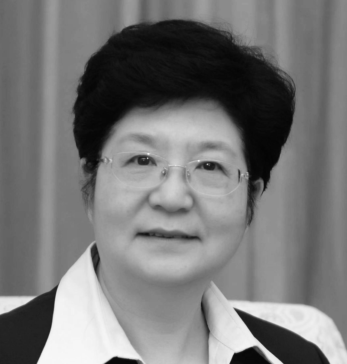 Prof. Ying Wang